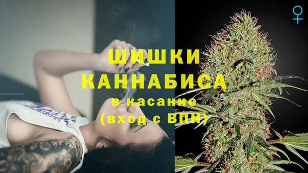 гидра Балахна