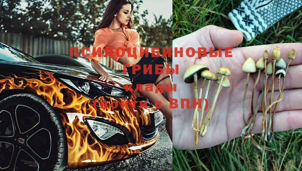 мдпв Балабаново