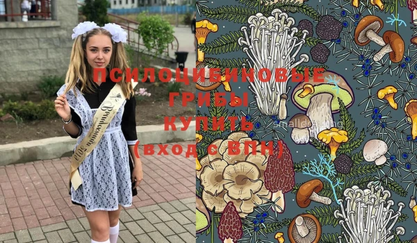 мдпв Балабаново