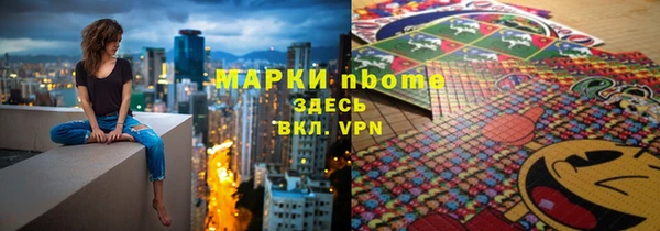 индика Беломорск