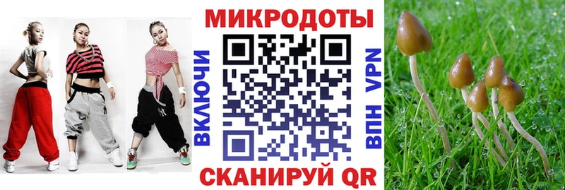 Купить закладки  Могоча  Псилоцибиновые грибы прущие грибы 